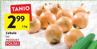 Intermarche Cebula intermarche oferta