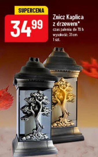 Polomarket Znicz oferta
