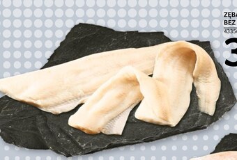 Selgros Zębacz oferta