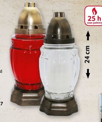 Selgros Znicz oferta