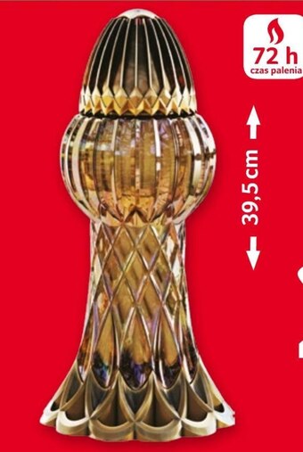 Selgros Znicz oferta