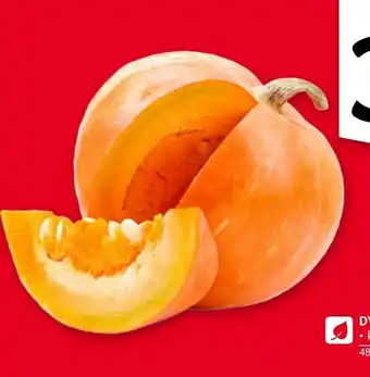 Selgros Dynia oferta