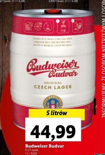 Lidl Piwo budweiser oferta
