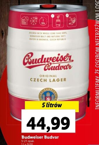 Lidl Piwo b: original budweiser budvar oferta