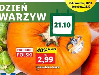 Lidl Dynia oferta