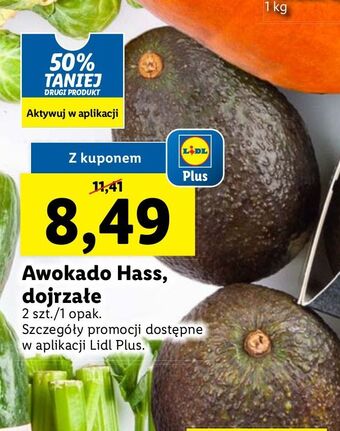 Lidl Awokado hass oferta