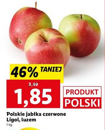 Lidl Jabłka ligol oferta