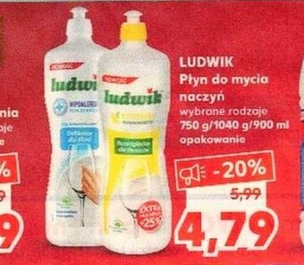 Kaufland Ludwik płyn do mycia naczyń oferta