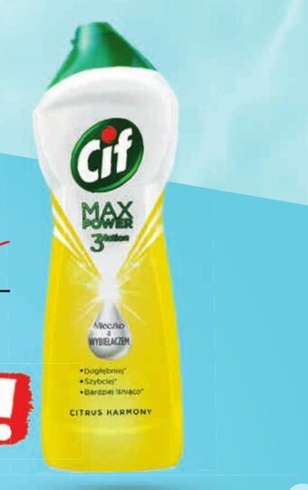 Netto Mleczko do czyszczenia cif oferta