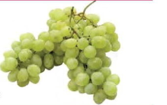 E.Leclerc Winogrona oferta