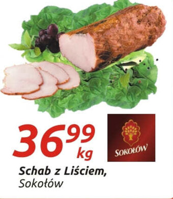 Społem Schab sokołów oferta
