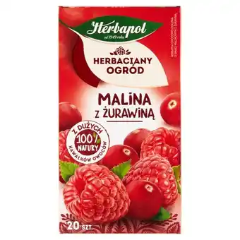 ABC Herbapol herbaciany ogród herbatka owocowo-ziołowa malina z żurawiną 54 g (20 x 2,7 g) oferta