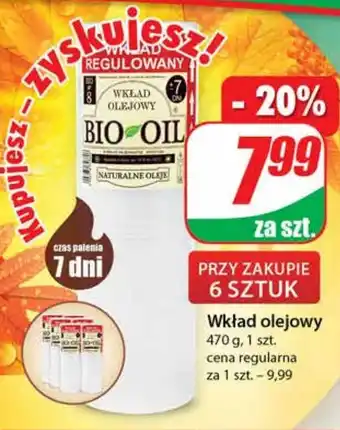 Dino Wkład olejowy dino oferta