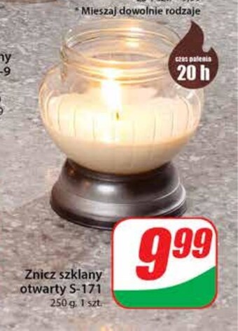 Dino Znicz dino oferta