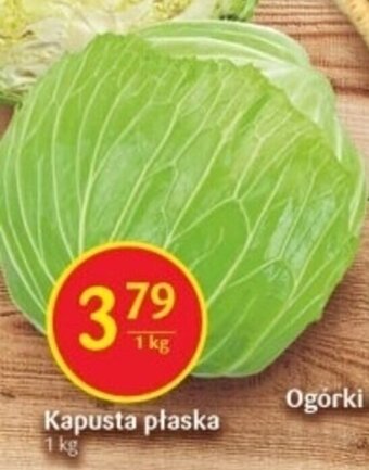 Delikatesy Centrum Kapusta płaska 1 kg oferta