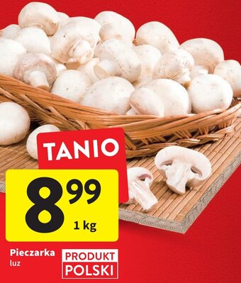 Intermarche Pieczarka luz 1 kg oferta