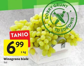 Intermarche Winogrono białe luz 1 kg oferta