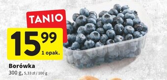 Intermarche Borówka 300 g oferta