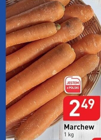 Stokrotka Marchew 1kg oferta