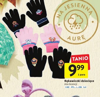 Intermarche Rękawiczki dziecięce oferta
