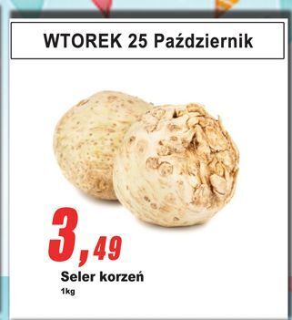 E.Leclerc Seler korzeń oferta
