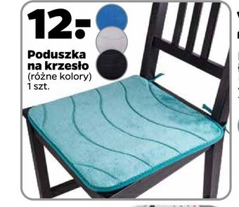 Netto Poduszka na krzesło oferta