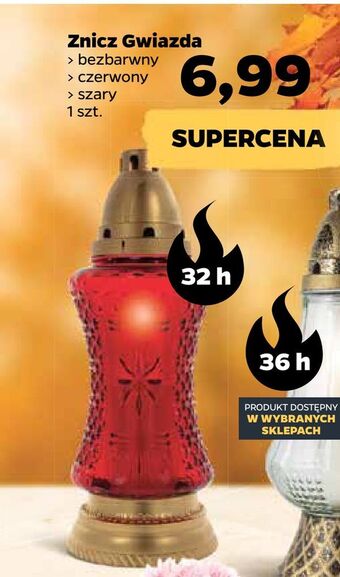 Netto Znicz gwiazda oferta