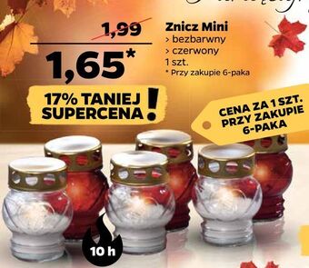 Netto Znicz mini oferta