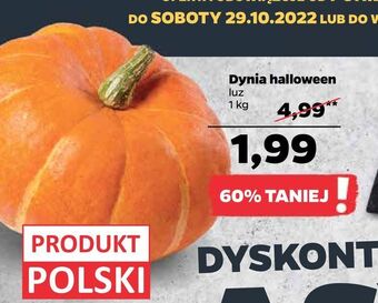 Netto Dynia halloween oferta