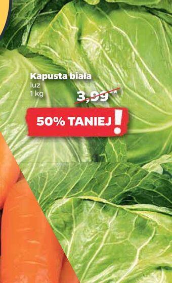 Netto Kapusta biała oferta