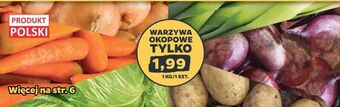 Netto Warzywa okopowe oferta