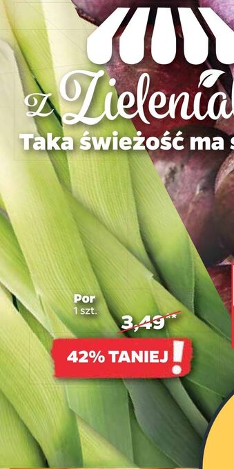 Netto Por oferta