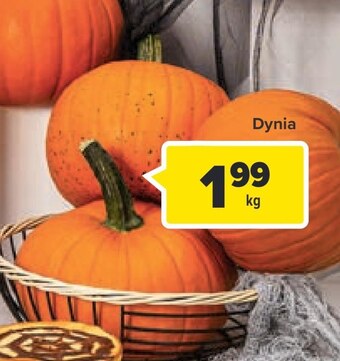 Carrefour Dynia carrefour oferta