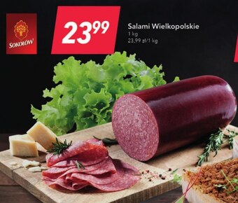 Lewiatan Salami sokołów oferta