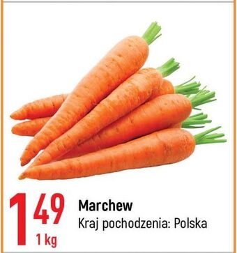 E.Leclerc Marchew oferta