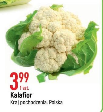 E.Leclerc Kalafior oferta