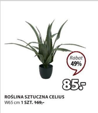 JYSK Roślina sztuczna celius oferta