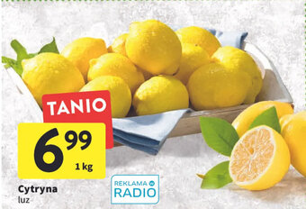 Intermarche Cytryna 1kg oferta