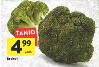 Intermarche Brokuł oferta