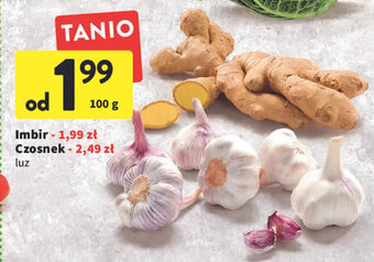 Intermarche Imbir 100g oferta