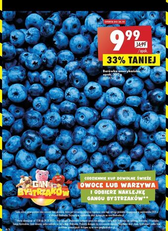 Biedronka Borówki amerykańskie oferta
