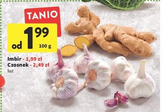Intermarche Czosnek oferta