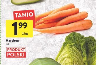 Intermarche Marchew oferta