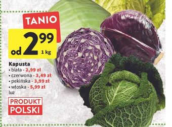 Intermarche Kapusta biała oferta