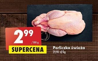 Biedronka Perliczka oferta
