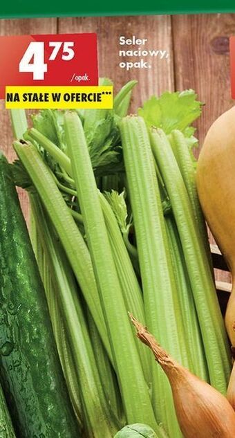 Biedronka Seler naciowy oferta