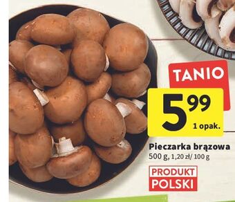 Intermarche Pieczarka brązowa oferta