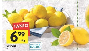 Intermarche Cytryny oferta