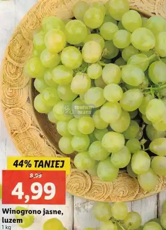 Lidl Winogrono jasne, luzem oferta