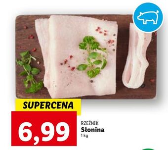 Lidl Słonina rzeźnik codzienna dostawa oferta